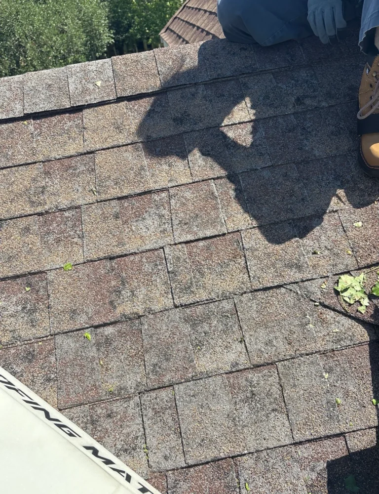 Worn, weathered architectural shingles with a row lifted and unsealed near the ridge, found by an inspector during a roof inspection