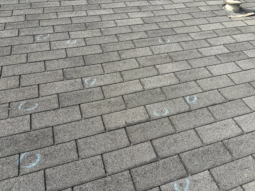 Hail impacts circled in blue chalk on gray asphalt shingles during a roof inspection in Georgetown, TX