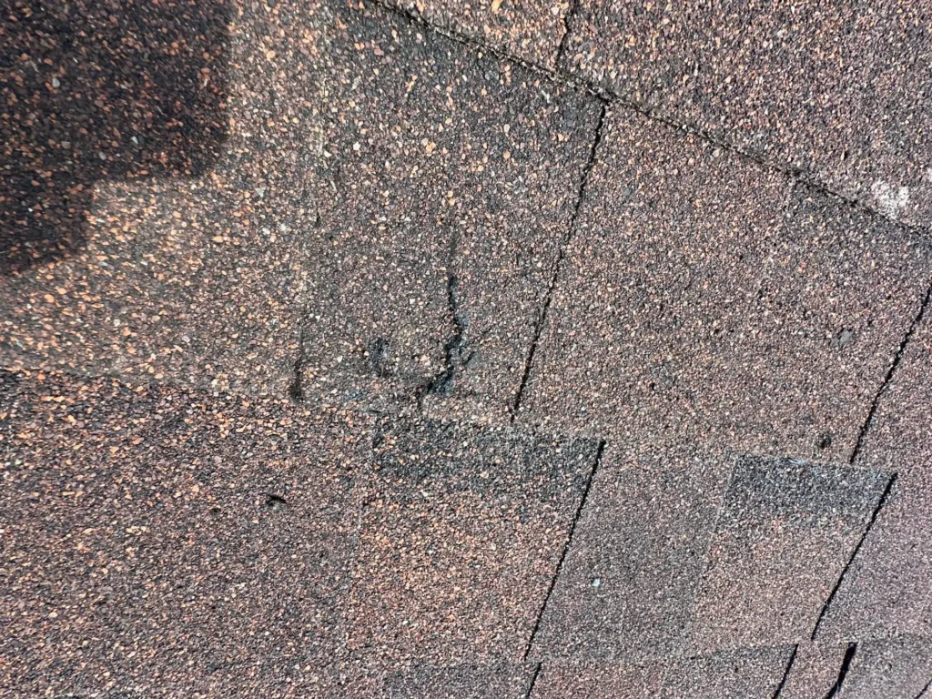 Close-up of a hail impact that fractured an asphalt shingle and knocked away granules in Helotes, TX