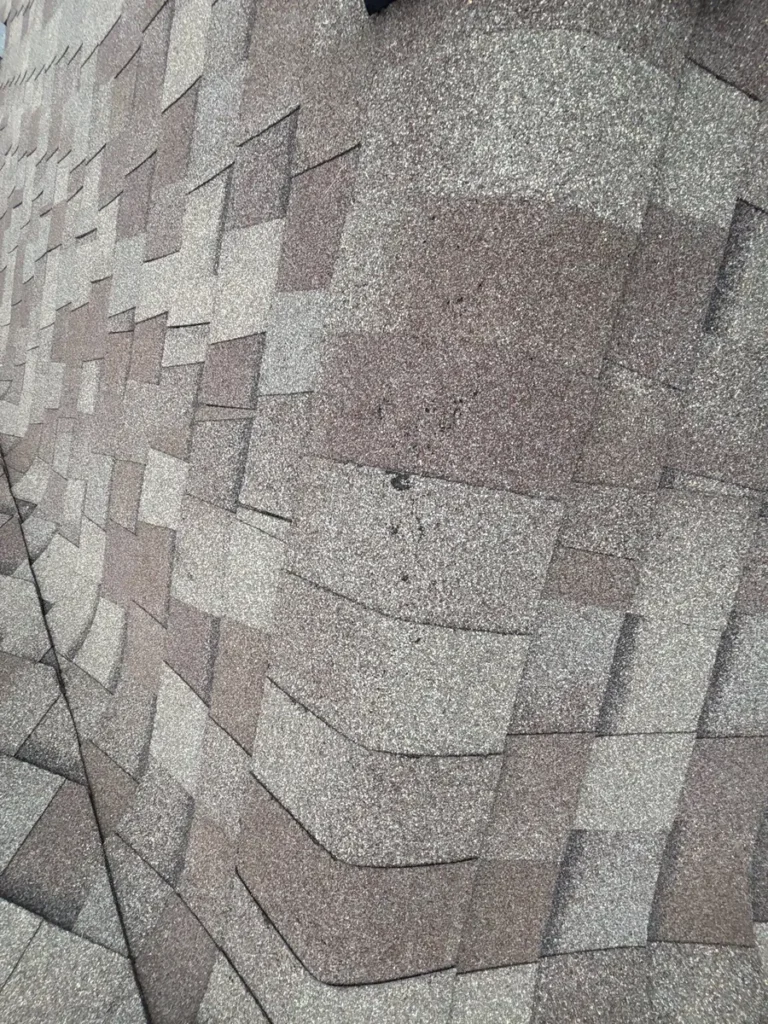 Asphalt roof shingles with visible lifted and creased tabs during a damage inspection.