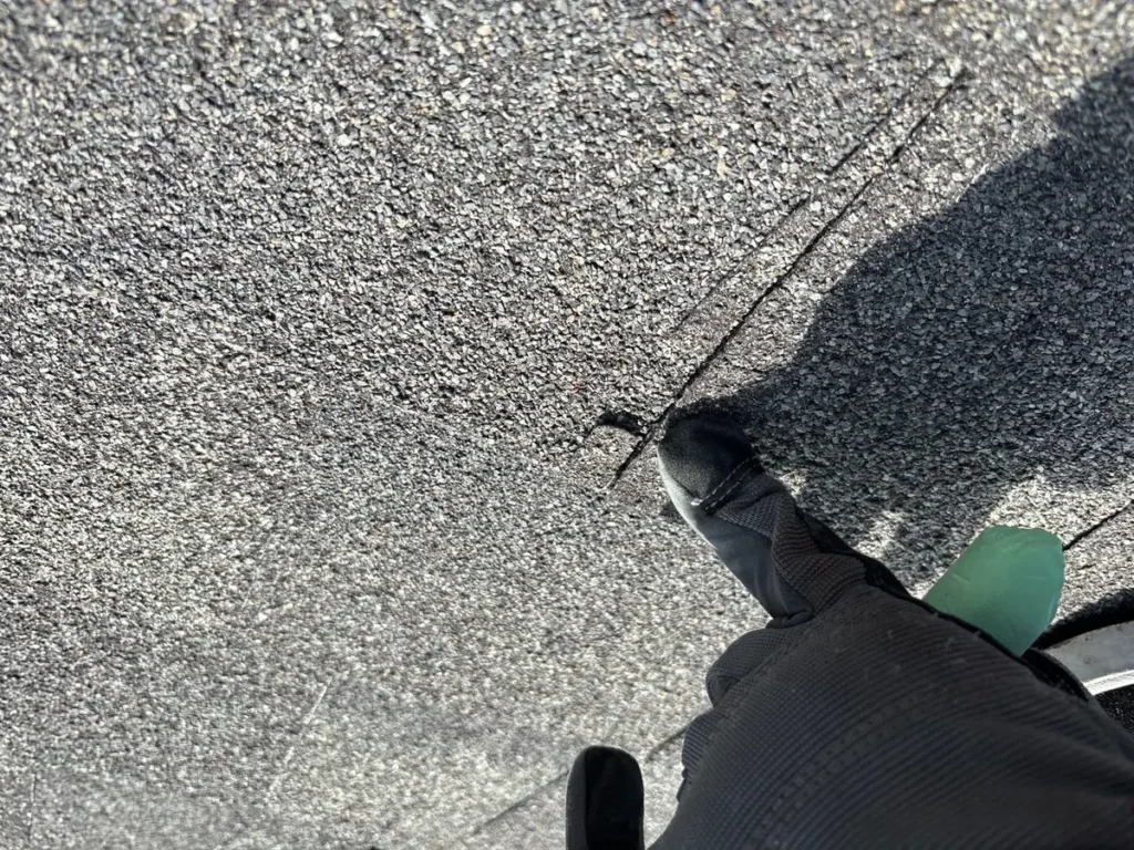Close-up of a gloved inspector pointing to a torn asphalt shingle edge near an overlapping seam.