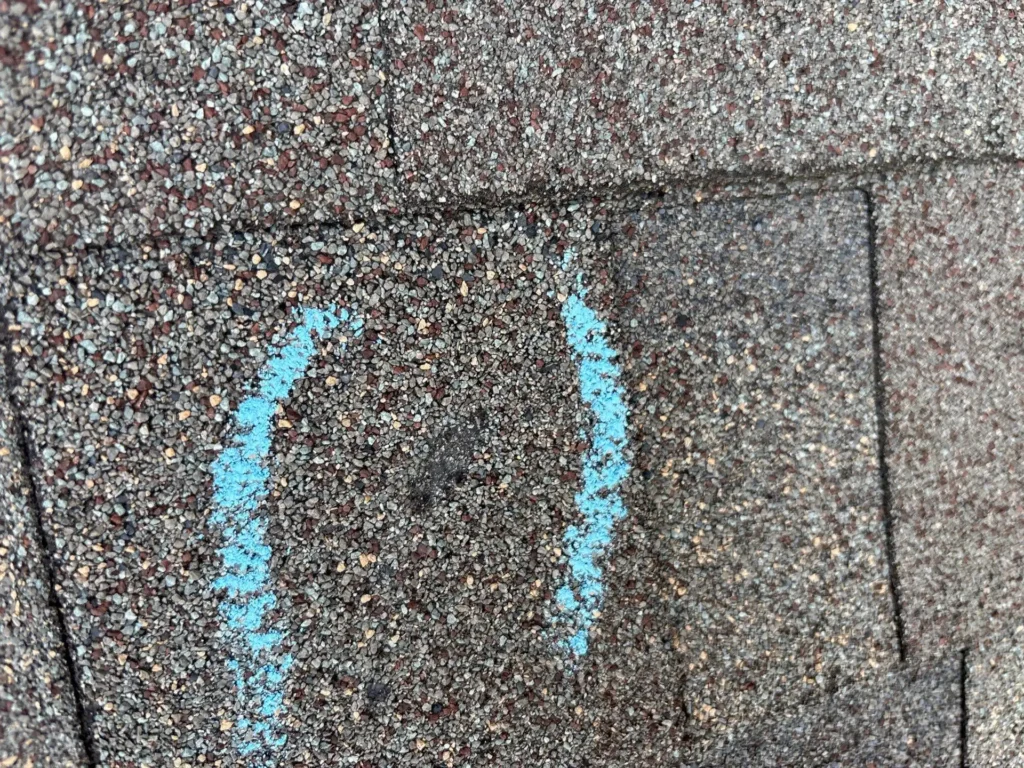 Hail bruise with displaced granules on an asphalt shingle, marked in blue chalk during a roof inspection in Uhland